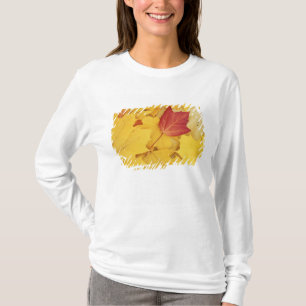 VS, Washington, Finch Arboretum, Rood en T-shirt