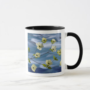 VS, Washington, Hood Canal. Pacifische dogwood Mok