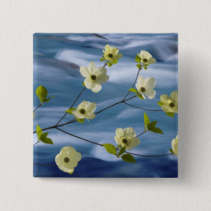 VS, Washington, Hood Canal. Pacifische dogwood Vierkante Button 5,1 Cm