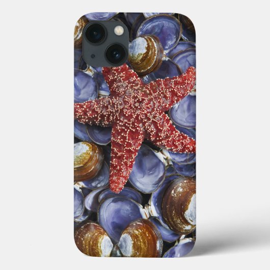 VS, Washington, Hood Canal, Seabeck. Close-up Case-Mate iPhone Case (Achterkant)