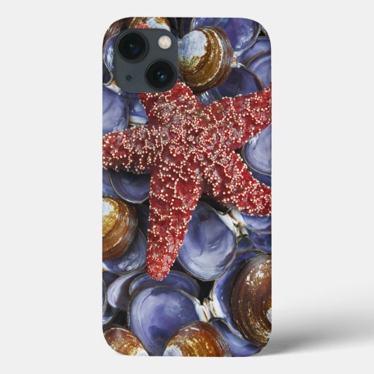 VS, Washington, Hood Canal, Seabeck. Close-up Case-Mate iPhone Case (Achterkant)