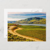 VS, Washington, Lake Chelan. Benson Vineyards Briefkaart (Voorkant / Achterkant)