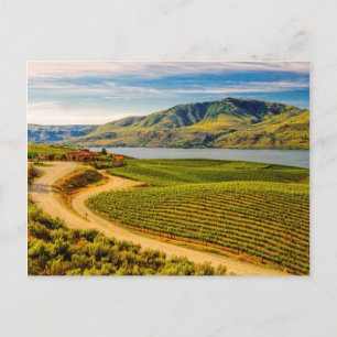 VS, Washington, Lake Chelan. Benson Vineyards Briefkaart