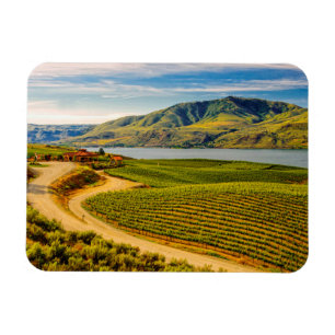 VS, Washington, Lake Chelan. Benson Vineyards Magneet
