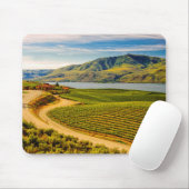 VS, Washington, Lake Chelan. Benson Vineyards Muismat (Met muis)