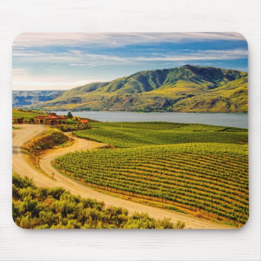 VS, Washington, Lake Chelan. Benson Vineyards Muismat (Voorkant)