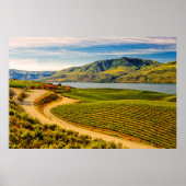 VS, Washington, Lake Chelan. Benson Vineyards Poster (Voorkant)