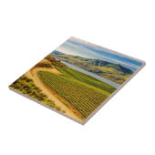 VS, Washington, Lake Chelan. Benson Vineyards Tegeltje (Zijkant)