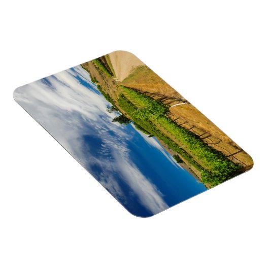 VS, Washington, Lake Chelan. Vineyard III Magneet (Rechterzijde)