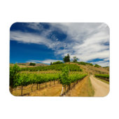 VS, Washington, Lake Chelan. Vineyard III Magneet (Horizontaal)