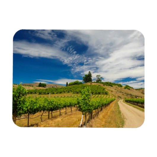 VS, Washington, Lake Chelan. Vineyard III Magneet (Horizontaal)