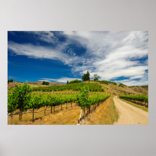 VS, Washington, Lake Chelan. Wijngaard 3 Poster