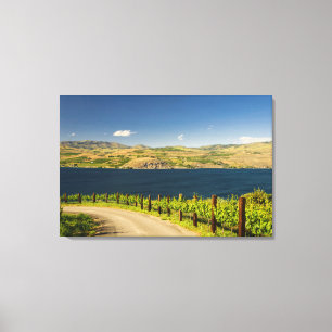 VS, Washington, Lake Chelan. Wijngaard Canvas Afdruk