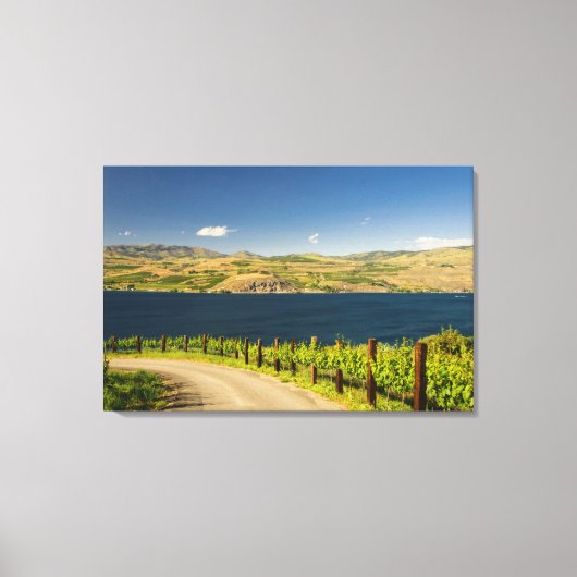 VS, Washington, Lake Chelan. Wijngaard Canvas Afdruk (Voorkant)