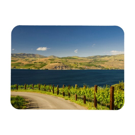 VS, Washington, Lake Chelan. Wijngaard Magneet (Horizontaal)