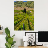 VS, Washington, Lake Chelan. wijngaarden 2 Poster (Thuiskantoor)