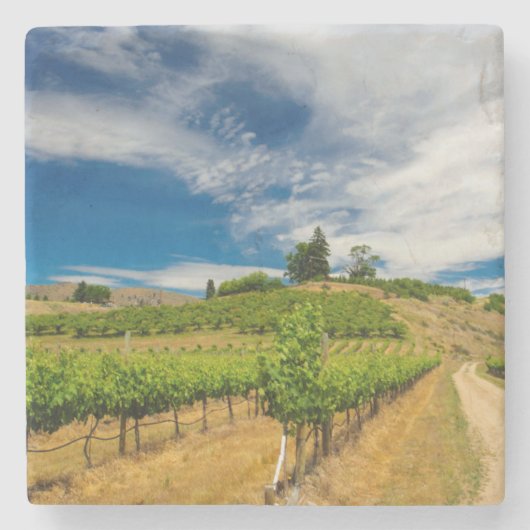 VS, Washington, Lake Chelan. wijngaarden 3 Stenen Onderzetter (Voorkant)