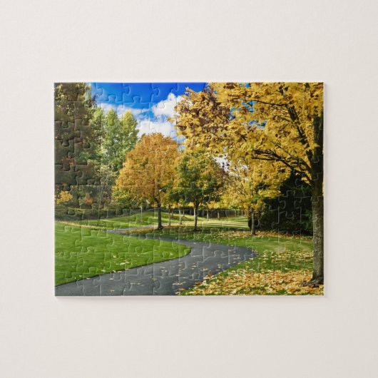 VS, Washington Legpuzzel (Horizontaal)
