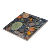 VS, Washington, Lopez-eiland, Agate Beach Tegeltje (Zijkant)