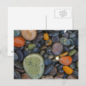 VS, Washington, Lopez Island, Agate Beach Briefkaart (Voorkant / Achterkant)
