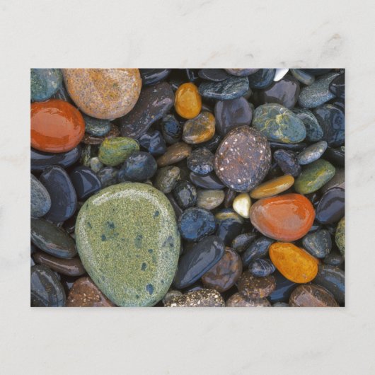 VS, Washington, Lopez Island, Agate Beach Briefkaart (Voorkant)