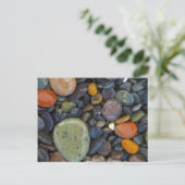 VS, Washington, Lopez Island, Agate Beach Briefkaart (Staand voorkant)