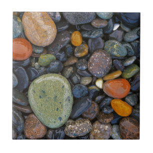 VS, Washington, Lopez Island, Agate Beach Tegeltje