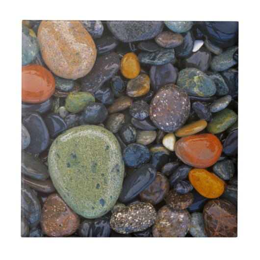 VS, Washington, Lopez Island, Agate Beach Tegeltje (Voorkant)