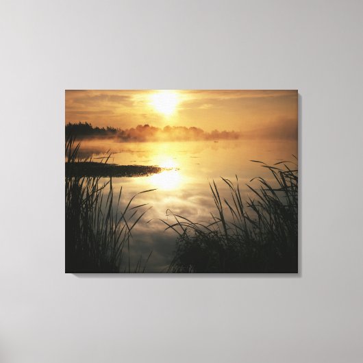 VS, Washington, Lopez Island, Ochtendnevel op Canvas Afdruk (Voorkant)