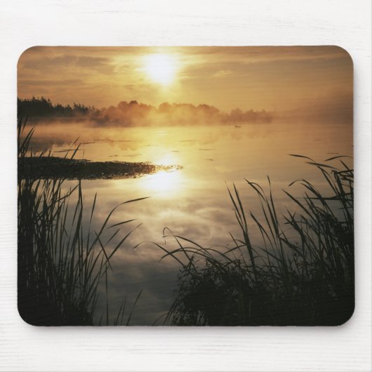 VS, Washington, Lopez Island, Ochtendnevel op Muismat (Voorkant)