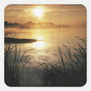 VS, Washington, Lopez Island, Ochtendnevel op Vierkante Sticker