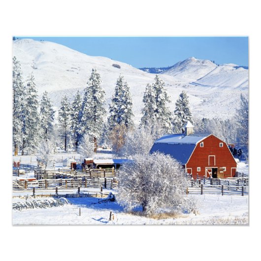 VS, Washington, Methow Valley, Schuren in Foto Afdruk (Voorkant)