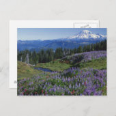 VS, Washington Mt. Adams Wilderness, Meadows Briefkaart (Voorkant / Achterkant)