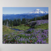 VS, Washington Mt. Adams Wilderness, Meadows Poster (Voorkant)