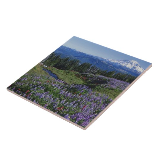 VS, Washington Mt. Adams Wilderness, Meadows Tegeltje (Zijkant)