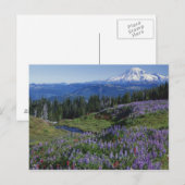 VS, Washington Mt. Adams Wilderness, Weiden Briefkaart (Voorkant / Achterkant)