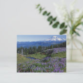 VS, Washington Mt. Adams Wilderness, Weiden Briefkaart (Staand voorkant)