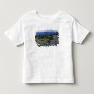 VS, Washington Mt. Adams Wilderness, Weiden Kinder Shirts