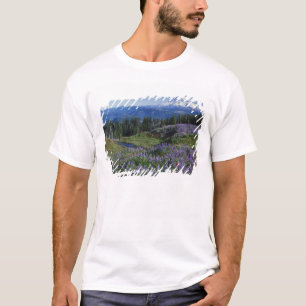 VS, Washington Mt. Adams Wilderness, Weiden T-shirt