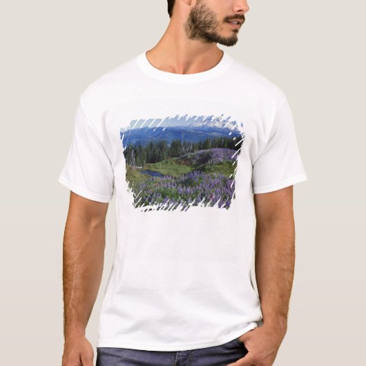 VS, Washington Mt. Adams Wilderness, Weiden T-shirt (Voorkant)
