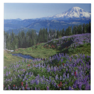 VS, Washington Mt. Adams Wilderness, Weiden Tegeltje