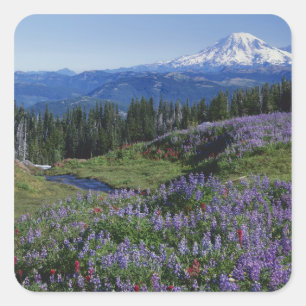 VS, Washington Mt. Adams Wilderness, Weiden Vierkante Sticker