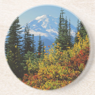 VS, Washington, Mt. Rainier Nationaal Park 2 Zandsteen Onderzetter