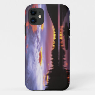 VS, Washington, Mt. Rainier Nationaal Park, iPhone 11 Hoesje