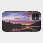 VS, Washington, Mt. Rainier Nationaal Park, Case-Mate iPhone Case (Achterkant (horizontaal))