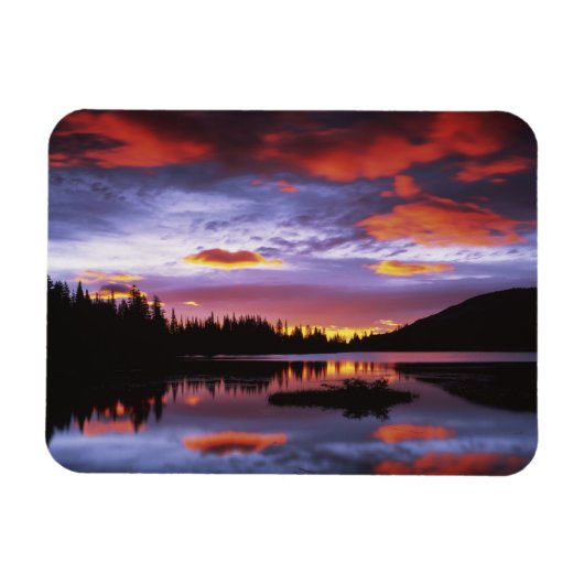 VS, Washington, Mt. Rainier Nationaal Park, Magneet (Horizontaal)