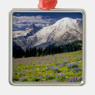 VS, Washington, Mt. Rainier Nationaal Park. Metalen Ornament