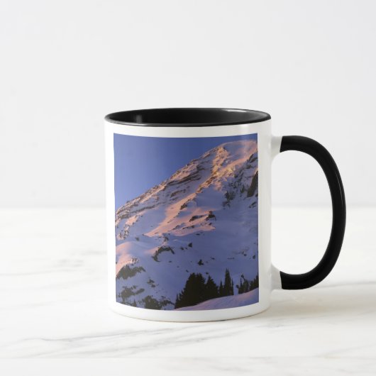 VS, Washington, Mt. Rainier Nationaal Park Mok (Rechts)