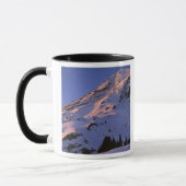 VS, Washington, Mt. Rainier Nationaal Park Mok (Links)