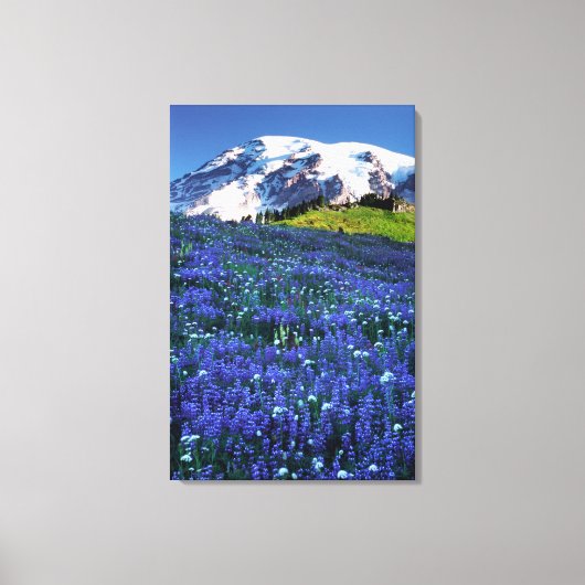 VS, Washington, Mt. Rainier Nationaal Park. Mt. Canvas Afdruk (Voorkant)